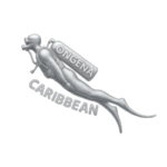 logo_ongena