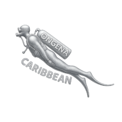 logo_ongena